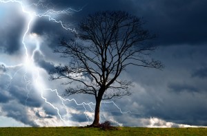 Tree And Storm 2 by George Hodan
